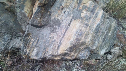 Гигантские зелёные валуны для ландшафтного дизайна весом более 5 тонн купить в Новоуральске